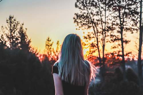 human woman standing near trees during golden hour nature