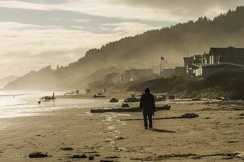 beach person walking on sea shore coast