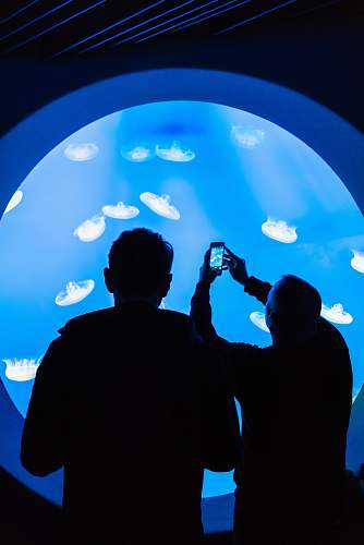 aquarium  water