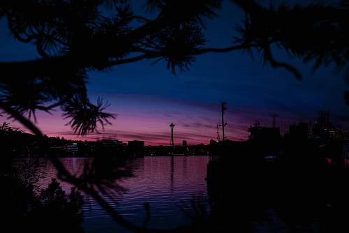 nature body of water at night outdoors