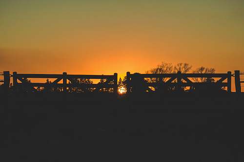 nature fences during golden hour outdoors