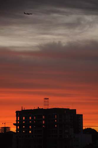 nature grayscale photo of building outdoors
