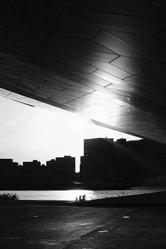 black-and-white grayscale photo of people facing body of water light