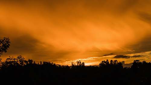 sunset landscape photography of silhouette of trees during sunset sunrise