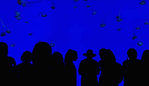 people people silhouettes with blue background blue