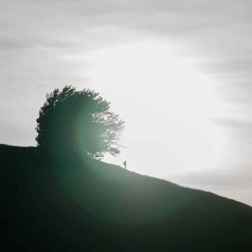 nature person standing on hill outdoors