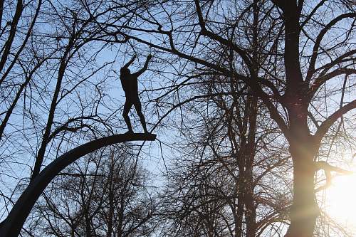 plant person standing on tree branch tree