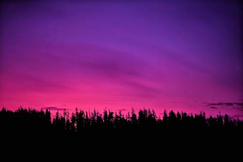 nature pink sky over forest at sunset outdoors