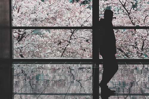 human silhouette of a man leaning on wall at daytime person