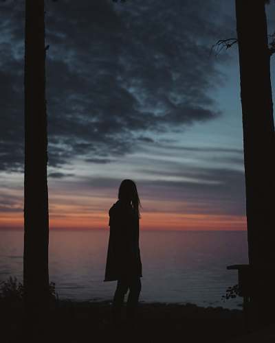 human silhouette of a woman standing beside trees person