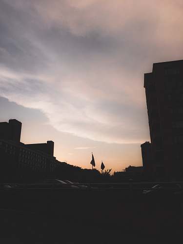 nature silhouette of building and vehicles building
