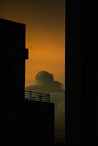 nature silhouette of buildings under gray skies outdoors