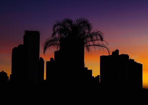 nature silhouette of city during golden hour outdoors