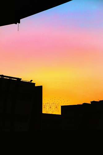 nature silhouette of flying birds below building during golden hour outdoors
