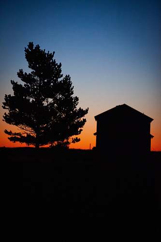 nature silhouette of house and tree during golden hour outdoors