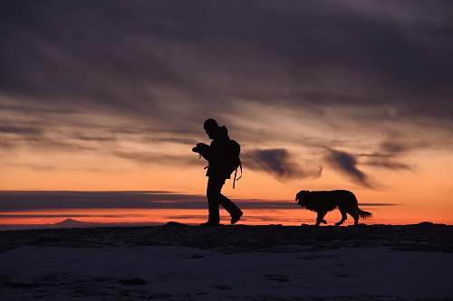 human silhouette of man and dog person