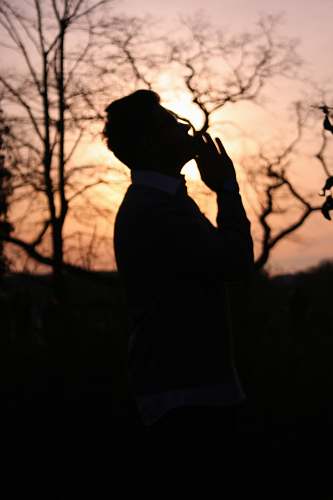person silhouette of man beside tree human