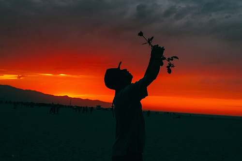sunset silhouette of man holding rose person