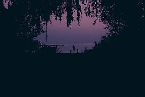 outdoors silhouette of man standing near the tree nature