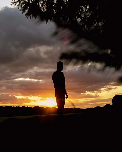 nature silhouette of man standing near trees human