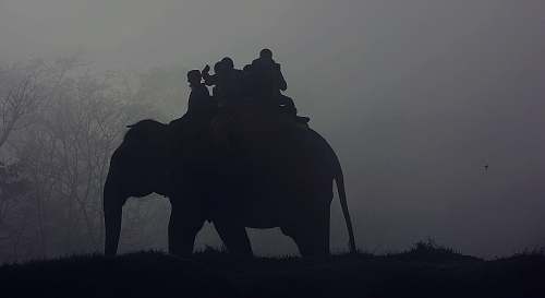 people silhouette of people riding elephant africa
