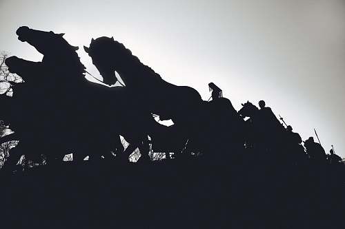 bird silhouette of people riding horses animal