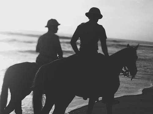black-and-white silhouette of people riding horses on shore horse