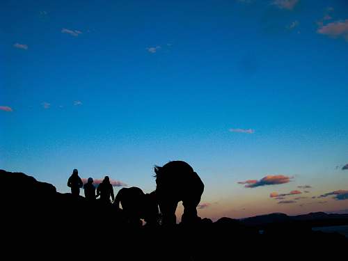 person silhouette of people sitting on hill during sunset human