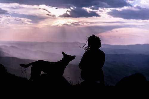 human silhouette of person beside dog person