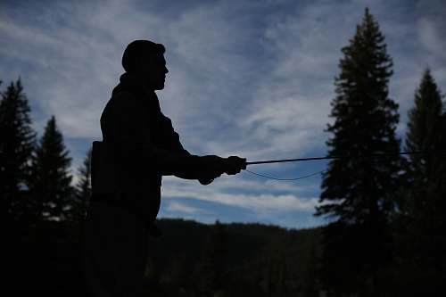 person silhouette of person fishing during nighttime tree