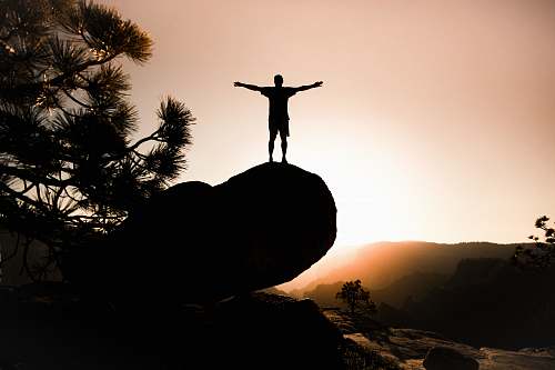 tree silhouette of person on rock palm tree