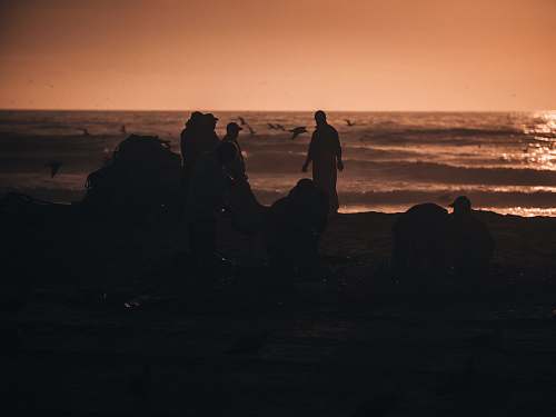 person silhouette of person standing on seashore human