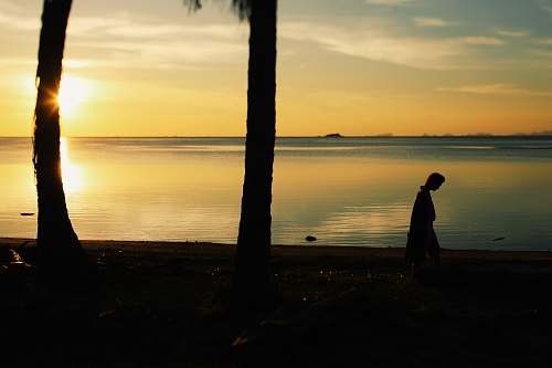 nature silhouette of person walking near body of water outdoors