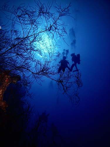 egypt silhouette of scuba diving blue
