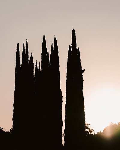 tower silhouette of spikes spire