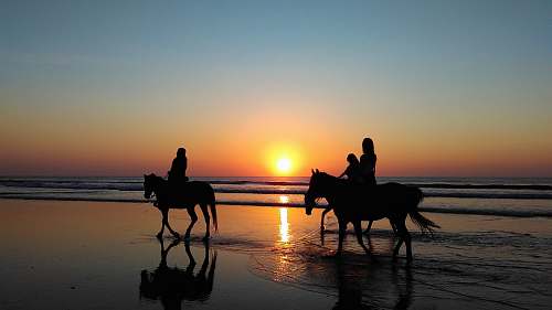 sunset silhouette of three person riding on horse beside sea during golden hour horse