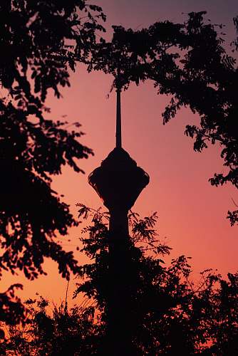 nature silhouette of tower and trees dusk