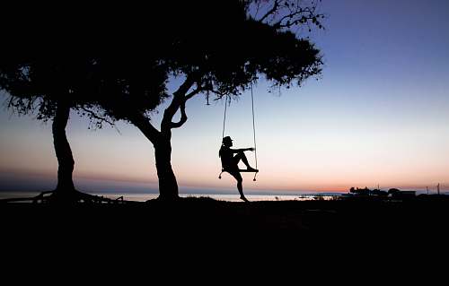 swing silhouette of tree near body of water greece