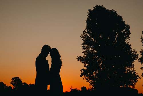 person Silhouette of two person near tree human