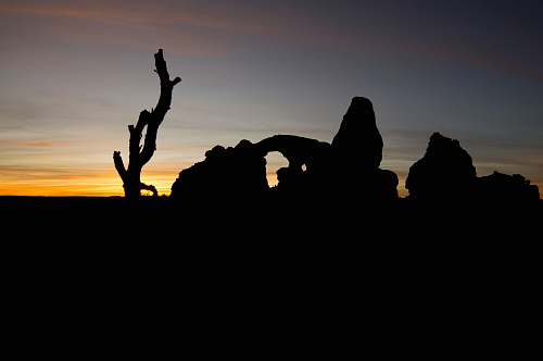 nature silhouette of woman sitting on rock outdoors