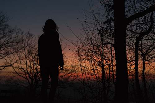 human silhouette photo of a woman on sunset person