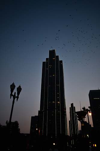building silhouette photo of buildings at night grey