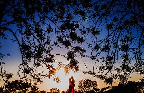 love silhouette photo of man and woman hugging each other couple