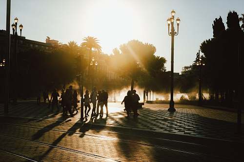 people silhouette photo of people at park during golden hour nice