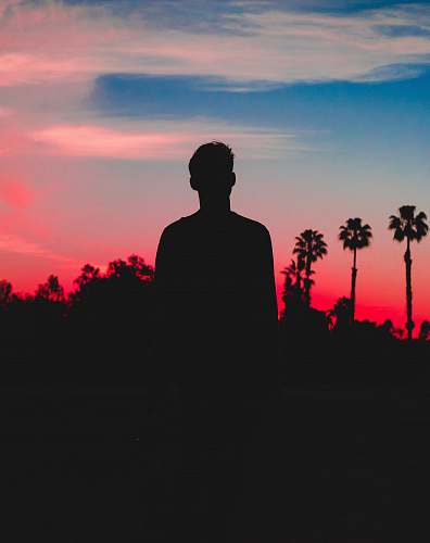 person silhouette photo of person behind coconut trees photo human