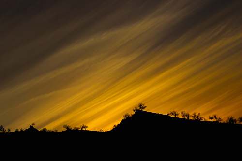 nature silhouette photo of trees during golden hour outdoors