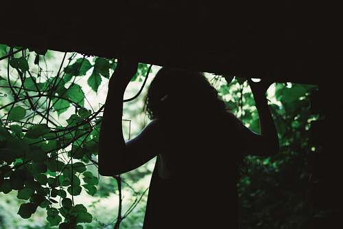 woman silhouette photo of woman tree