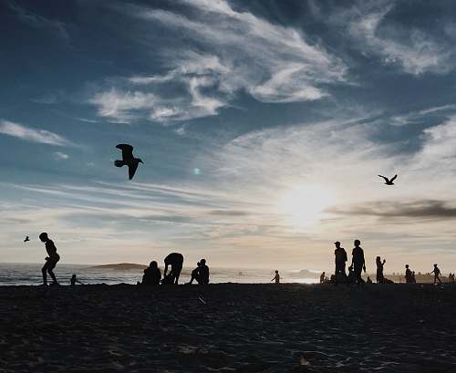 human silhouette photography group of person enjoying beach person
