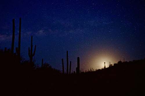 sky silhouette photography of cactus stars