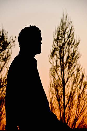 nature silhouette photography of man near trees tree